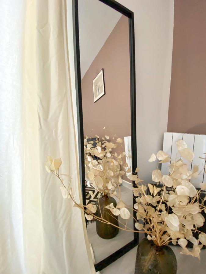 La Porte De L'échappée Verte - Salon Extérieur&parking Privé Albi